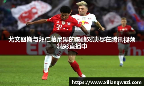 九游j9国际站备