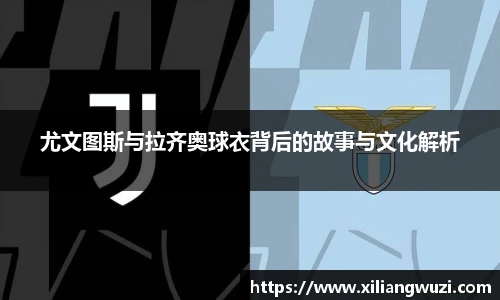 j9国际版
